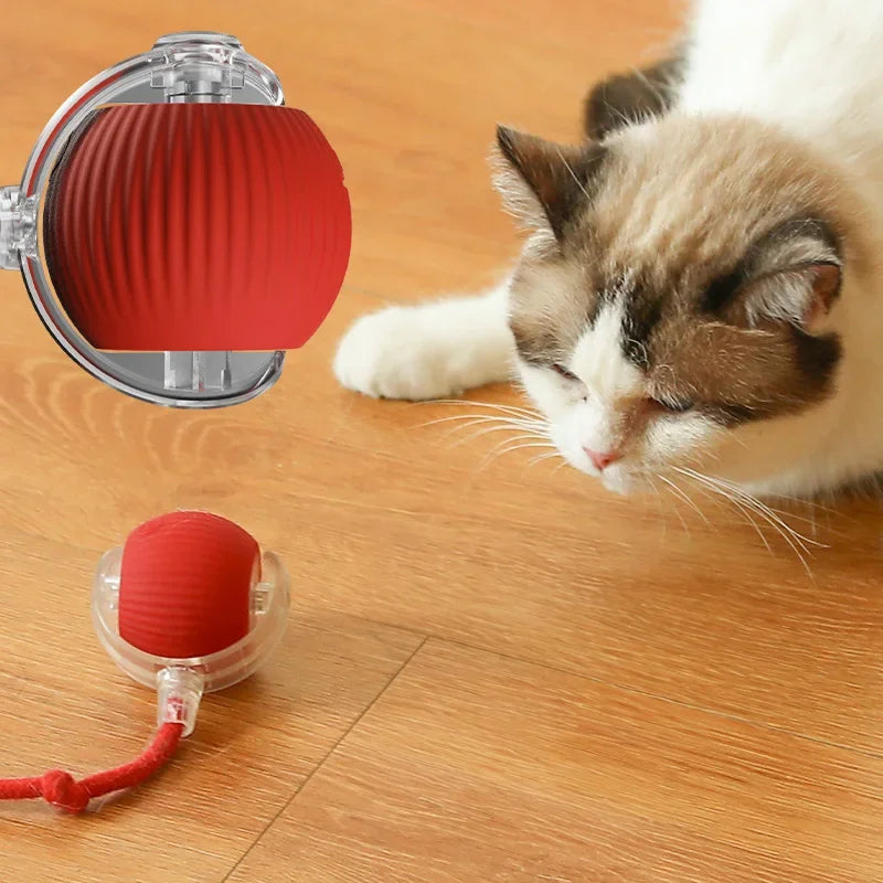 Interactive Rechargeable Rolling Ball Cat Toy