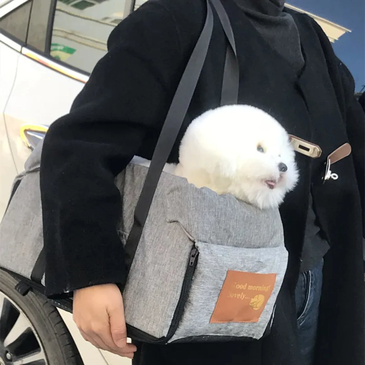 Safety Pet Car Seat