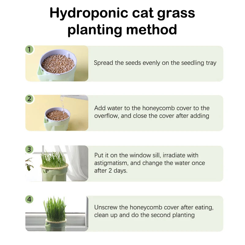 Cat Grass Planting Hydroponic Pot