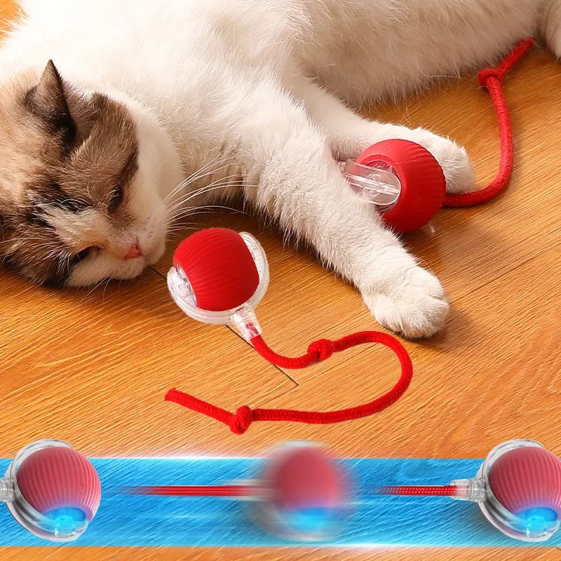 Interactive Rechargeable Rolling Ball Cat Toy